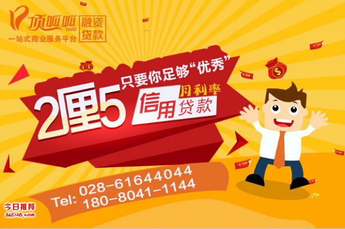 頂泰金融